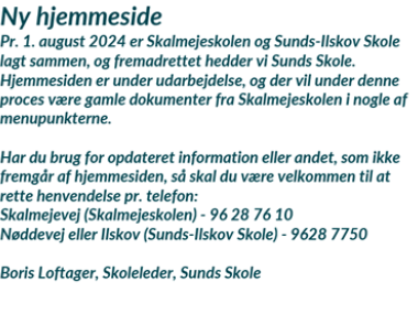 Ny hjemmeside for Sunds Skole